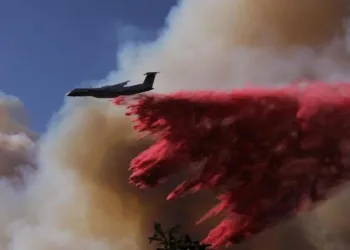 Ya son 24 los fallecidos por los incendios forestales de Los Ángeles