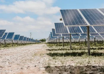 El Gobierno oficializó la aprobación del primer  proyecto del RIGI por US$211 millones