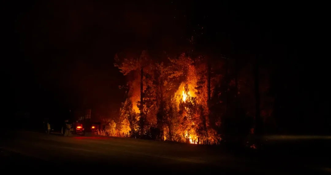 Incendio en El Bolsón: 1600 hectáreas afectadas y zonas evacuadas