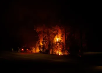 Incendio en El Bolsón: 1600 hectáreas afectadas y zonas evacuadas