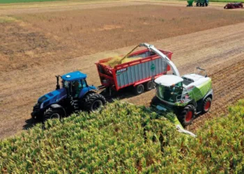 La innovación desembarca en San Nicolás