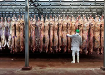 Trabajadores en alerta por posibles 400 despidos en el Frigorífico de Las Heras