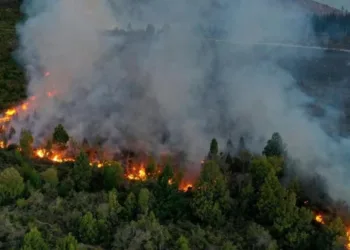 Incendio en Bariloche: llegaron las lluvias, pero se esperan ráfagas de viento para las próximas horas
