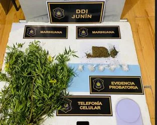 En seis allanamientos se secuestraron armas de fuego, droga y otros elementos robados