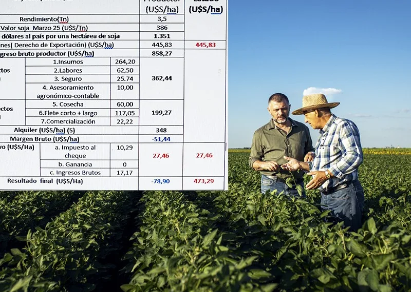 Retenciones: Se multiplican los reclamos hacia Milei