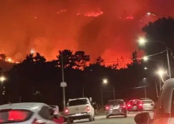 Tandil en alerta por un devastador incendio forestal en el Cerro de la Cruz