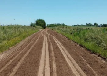 La Sociedad Rural de Junín cuestionó la actual afectación de recursos para la red vial