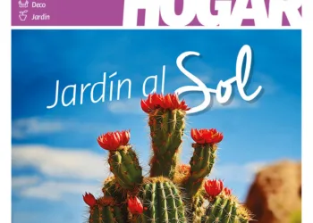 Revista HOGAR de enero