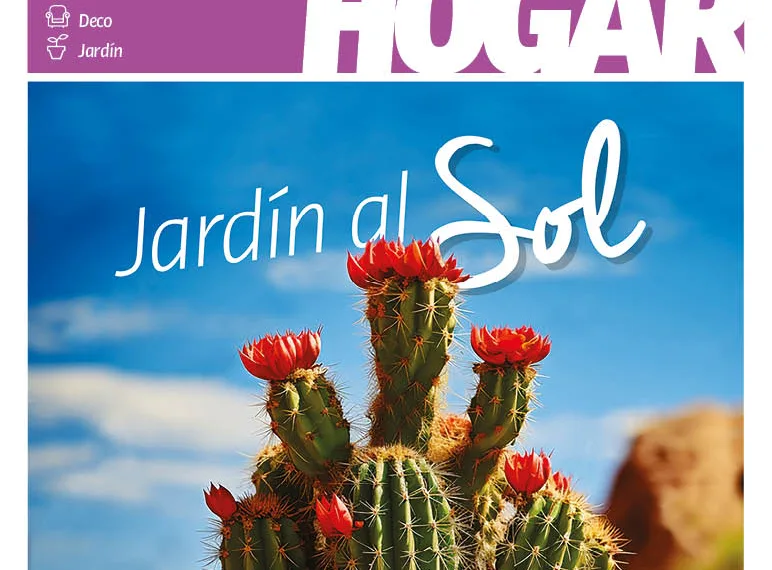 Revista HOGAR de enero