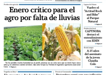Miércoles 15 de enero de 2025