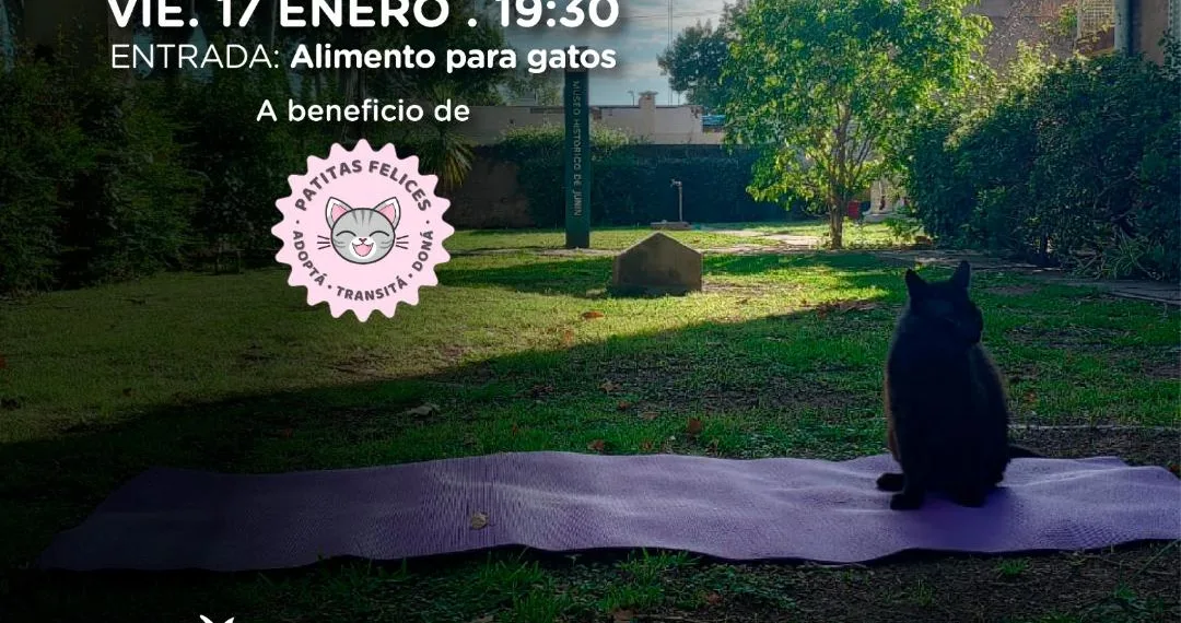 Invitan a la comunidad a participar de una clase de Yoga Solidario en el Museo Histórico