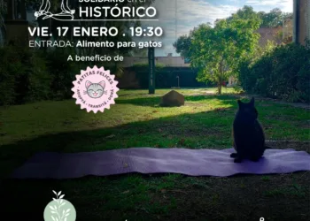 Invitan a la comunidad a participar de una clase de Yoga Solidario en el Museo Histórico