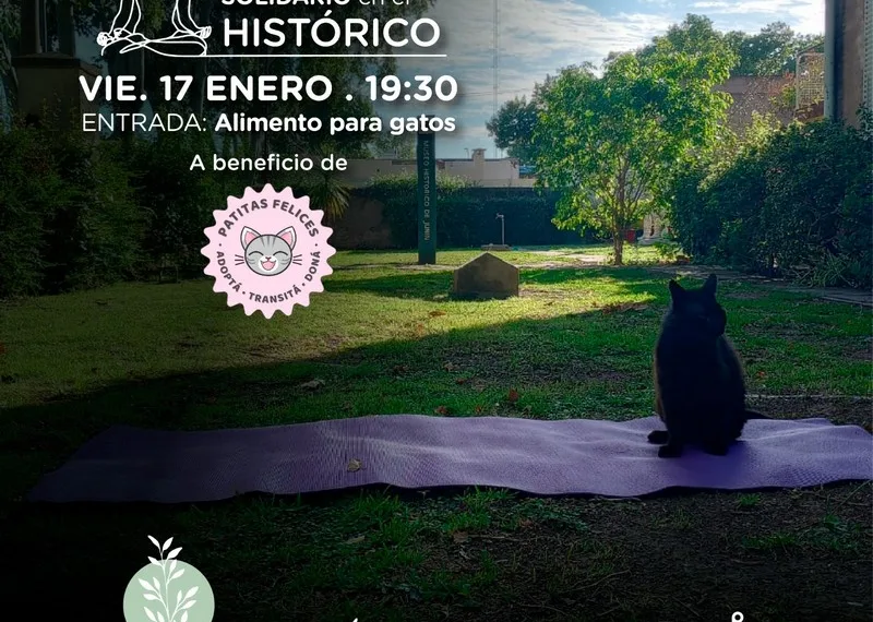 Invitan a la comunidad a participar de una clase de Yoga Solidario en el Museo Histórico