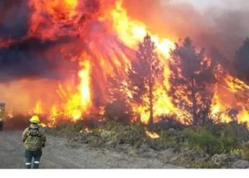Bomberos de Junín trabajan para combatir el incendio en El Bolsón