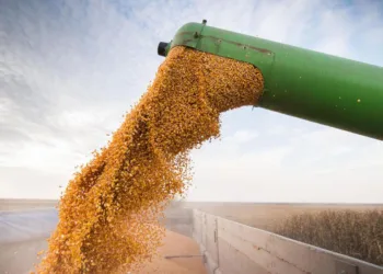 Destacan la potencia del sector agroindustrial en la generación de recursos