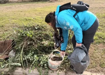 Dengue: la Provincia realiza una campaña de limpieza y descacharrado en municipios
