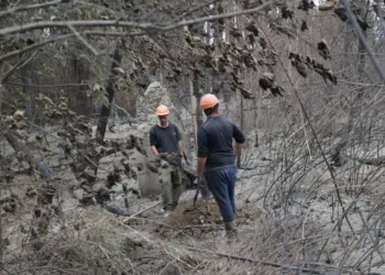 Continúan los refuerzos de combate del incendio en El Bolsón