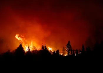 Ya son más de 18 mil hectáreas consumidas por el fuego