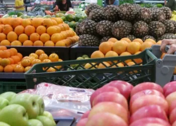 Agroalimentos: del campo a la góndola  los precios se multiplicaron por 3,8 en enero