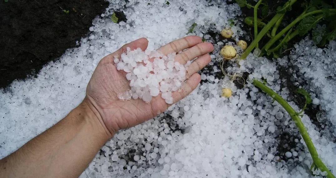 Alerta hoy por tormentas y granizo: Buenos Aires y otras provincias afectadas