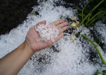 Alerta hoy por tormentas y granizo: Buenos Aires y otras provincias afectadas