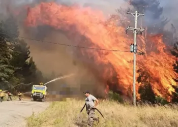 «La situación es desgarradora”, dijo el presidente del comité de Bomberos de El Bolsón