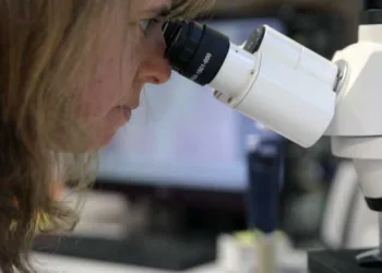 La investigación científica en estado crítico por el ajuste
