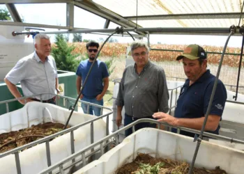 “Producción y sustentabilidad tienen que ir de la mano”, aseguran desde Desarrollo Agrario
