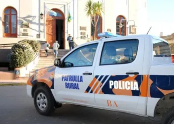 Inseguridad: en enero, bajaron los asesinatos, robos, hurtos y abigeatos en Provincia