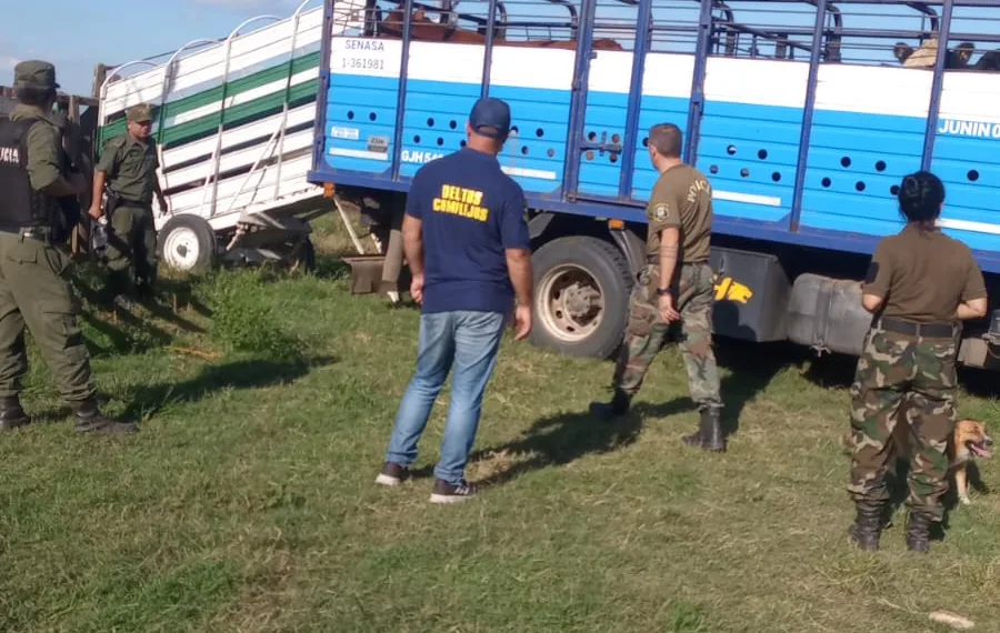 Gran operativo en la lucha contra el abigeato en Junín