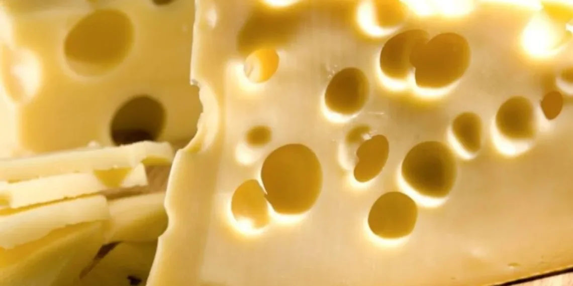 Día mundial del queso: cuáles son los más consumidos en Argentina