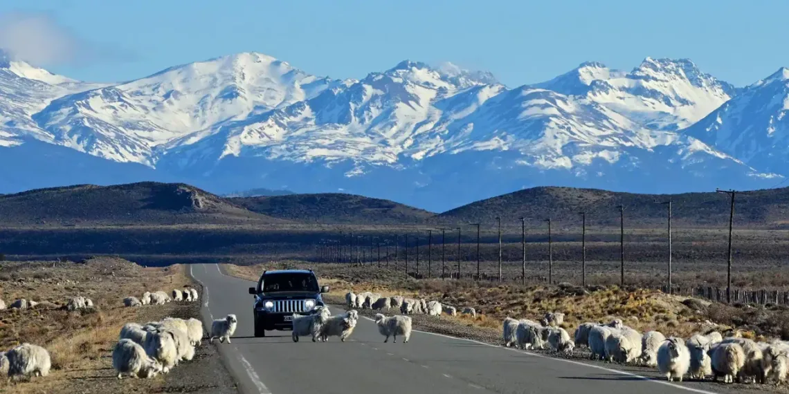 “La Madre Todas las Rutas”: 5.194 km de aventura y maravillas naturales