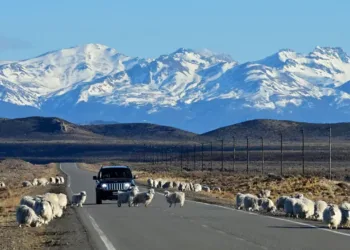 “La Madre Todas las Rutas”: 5.194 km de aventura y maravillas naturales
