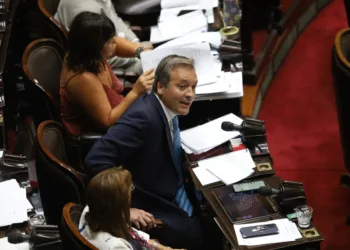 Denuncian que la diputada libertaria Villaverde traficó droga y estuvo detenida en Estados Unidos