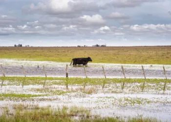 Casi 2 millones de hectáreas bajo el agua en  la provincia: las pérdidas son “muchísimas”