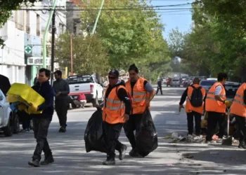 Bahía Blanca: ya funcionan la recolección de residuos, el transporte público y tiene luz el 70% de los usuaurios