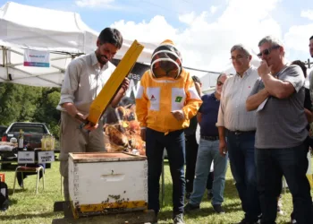 Provincia promueve la actividad apícola