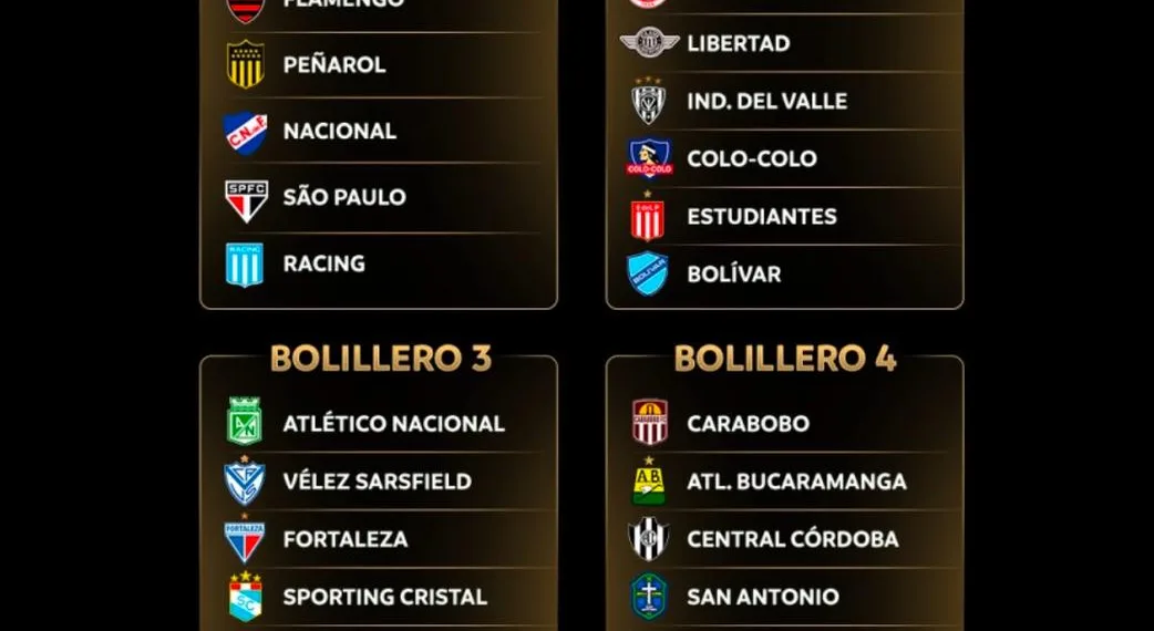 El sorteo de la Libertadores y la Sudamericana: a qué hora y cómo verlo