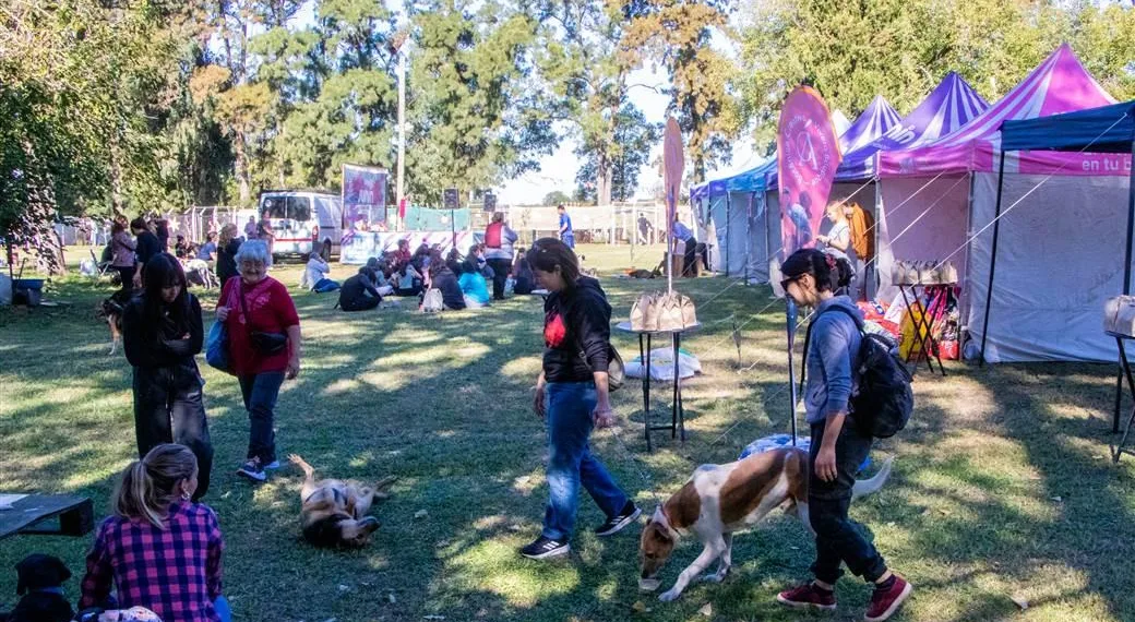 Amor a las mascotas: segunda edición de «Día de Pelos»