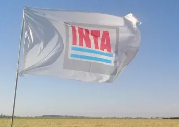 Desde UPCN buscan resistir el avance  destructivo del gobierno sobre el INTA