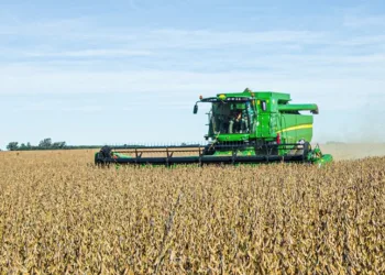 El campo entre muy buenos rindes y el deja vu del 2018