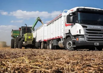 Productor explicó la brutal trasferencia de dólares del campo al Estado