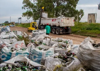 Relleno Sanitario: 18.000 kilos de vidrios fueron reciclados en la planta de clasificación