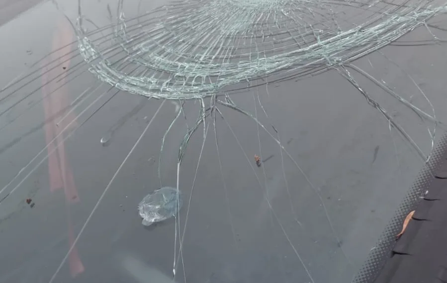 Pudo haber sido una tragedia: otro accidente involucró a caballos sueltos