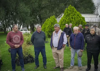 Buenos Aires refuerza su apuesta a la producción silvopastoril