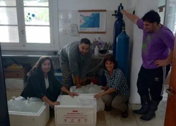 Trabajo articulado para la repoblación  de pejerreyes en las lagunas de Junín