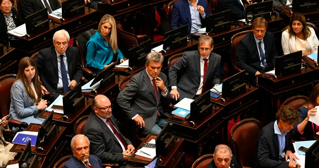 Tras postergar Ficha Limpia, el Senado abre el recinto para rendirle homenaje al papa Francisco