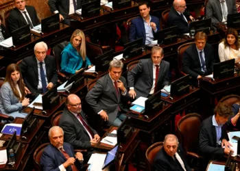 Tras postergar Ficha Limpia, el Senado abre el recinto para rendirle homenaje al papa Francisco