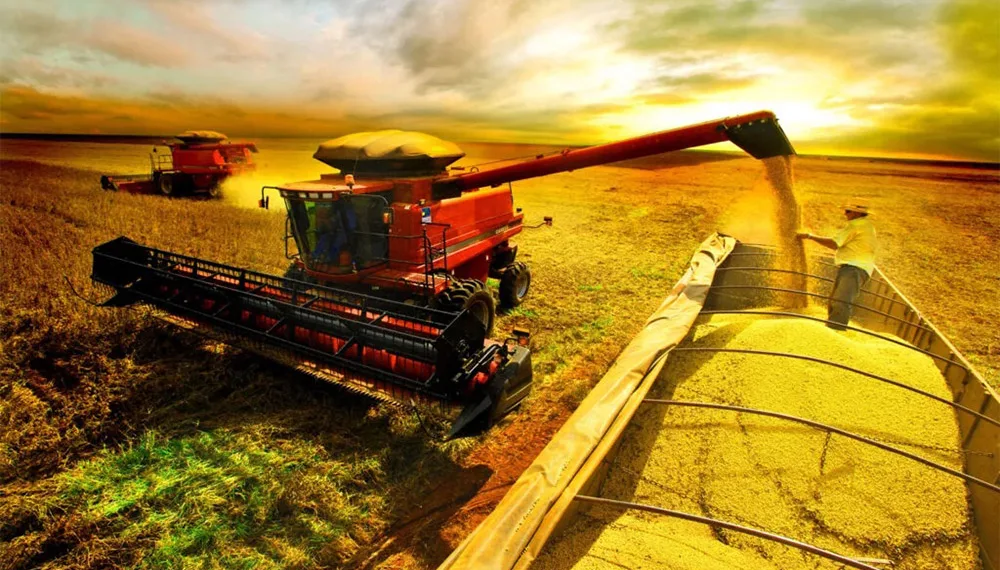 El agro podría generar u$s 17.000 millones adicionales en exportaciones
