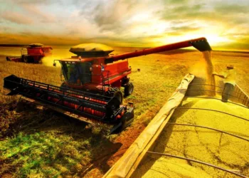 El agro podría generar u$s 17.000 millones adicionales en exportaciones